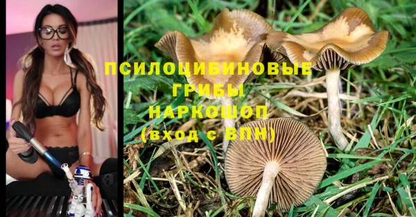ALPHA-PVP Богданович